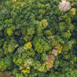 Fracción Parque Rucatayo – Inversión Sustentable