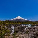 Campos Sustentables – Inversión Sustentable - Imagen 2