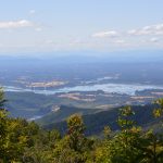 Manzana Limona   – Inversión Sustentable - Imagen 2